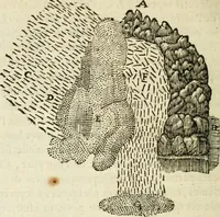 An illustration from Discours de la methode : pour bien conduire sa raison, & chercher la verité dans les sciences : Plus La dioptrique, et Les meteores. Qui sont des essais de cete methode (1658)