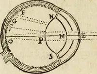 An illustration from Discours de la methode : pour bien conduire sa raison, & chercher la verité dans les sciences : Plus La dioptrique, et Les meteores. Qui sont des essais de cete methode (1658)