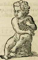 Picture 211 of 458 from Discours de la religion des anciens Romains-- (1581), leaf 151