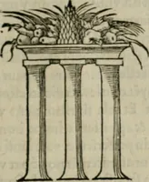 Picture 378 of 458 from Discours de la religion des anciens Romains-- (1581), leaf 310