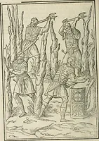 Picture 421 of 458 from Discours de la religion des anciens Romains-- (1581), leaf 433