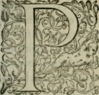 Picture 451 of 458 from Discours de la religion des anciens Romains-- (1581), leaf 514