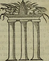 Picture 361 of 440 from Discours de la religion des anciens Romains : de la castrametation & discipline militaire d'iceux. Des bains & antiques exercitations grecques & romaines ... (1581), leaf 304