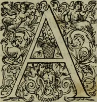 Picture 390 of 440 from Discours de la religion des anciens Romains : de la castrametation & discipline militaire d'iceux. Des bains & antiques exercitations grecques & romaines ... (1581), leaf 396
