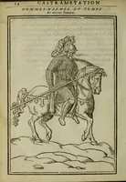 Picture 406 of 440 from Discours de la religion des anciens Romains : de la castrametation & discipline militaire d'iceux. Des bains & antiques exercitations grecques & romaines ... (1581), leaf 447