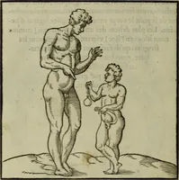 Picture 432 of 440 from Discours de la religion des anciens Romains : de la castrametation & discipline militaire d'iceux. Des bains & antiques exercitations grecques & romaines ... (1581), leaf 521