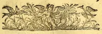 An illustration from Discours du voyage fait par le Capitaine Iaques Cartier aux terres-neufues de Canadas, Norembergue, Hochelage, Labrador, & pays adiacens, dite nouuelle France, : auec particulieres moeurs, langage, & ceremonies des habitans d'icelle (1598)