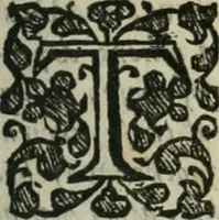An illustration from A discourse of the Roman foot, and Denarius: from whence, as from two principles, the measures, and weights, used by the ancients, may be deduced (1647)