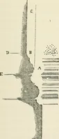 An illustration from Discourses on architecture (1875)