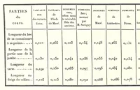An illustration from Discours sur les révolutions de la surface du globe : et sur les changemens qu'elles ont produits dans le régne animal (1826)