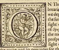 Picture 6 of 9 from The discoverie of the large, rich, and bewtiful empyre of Guiana, with a relation of the great and golden citic of Manoa (which the Spanyards call El Dorado) and of the provinces of Emeria, Arromaia, Amapaia, and other countries...performed in the yeare 1595. by Sir W. Ralegh knight, captaine of her Maiesties Guard. (1596), leaf 25