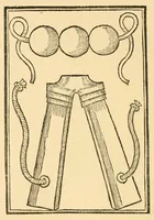 Picture 3 of 15 from The discoverie of witchcraft (1886), leaf 386