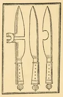 An illustration from The discoverie of witchcraft (1886)