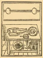 An illustration from The discoverie of witchcraft (1886)
