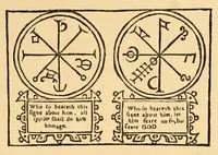 Picture 7 of 15 from The discoverie of witchcraft (1886), leaf 431