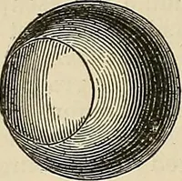 An illustration from Discoveries and inventions of the nineteenth century (1905)