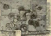 Picture 122 of 444 from Discoveries and inventions of the nineteenth century (1905), leaf 240