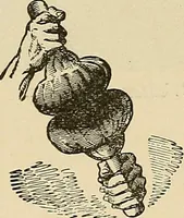 An illustration from Discoveries and inventions of the nineteenth century (1905)