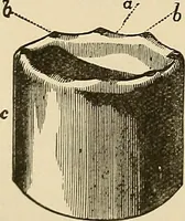 Picture 221 of 444 from Discoveries and inventions of the nineteenth century (1905), leaf 408