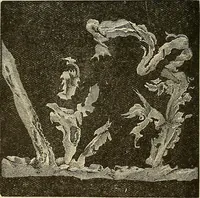 An illustration from Discoveries and inventions of the nineteenth century (1905)