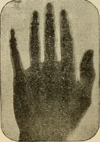 Picture 274 of 444 from Discoveries and inventions of the nineteenth century (1905), leaf 498
