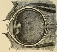 Picture 279 of 444 from Discoveries and inventions of the nineteenth century (1905), leaf 506