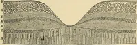An illustration from Discoveries and inventions of the nineteenth century (1905)