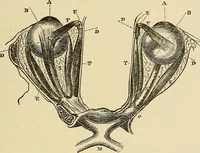 An illustration from Discoveries and inventions of the nineteenth century (1905)