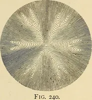 Picture 285 of 444 from Discoveries and inventions of the nineteenth century (1905), leaf 517