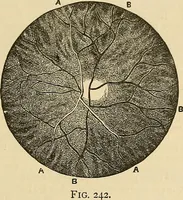 Picture 287 of 444 from Discoveries and inventions of the nineteenth century (1905), leaf 519