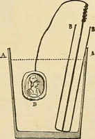 Picture 311 of 444 from Discoveries and inventions of the nineteenth century (1905), leaf 551