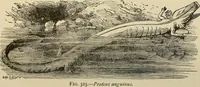 An illustration from Discoveries and inventions of the nineteenth century (1905)