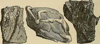 An illustration from Discoveries and inventions of the nineteenth century (1905)