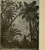 An illustration from Discoveries and inventions of the nineteenth century (1905)