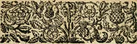An illustration from The discovery of Nevv Brittaine : began August 27, Anno Dom. 1650 (1651)