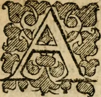 An illustration from The discovery of Nevv Brittaine : began August 27, Anno Dom. 1650 (1651)