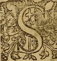 An illustration from Discovrs de l'ordre tenv par les habitans de la ville de Rouen, à l'entrée du Roy nostre Sire. Auec les harangues y prononcees à sa Reception (1588)