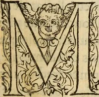 An illustration from Discovrs des choses faictes par Monsievr le Prince de Conde, Lieutenant general de Roy, : representant sa personne par tous ses pays, terres & seigneuries, depuis son partement d'Orleans.. (1563)