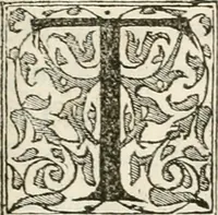 An illustration from Discovrs historial de l'antiqve et illvstre cité de Nismes en la Gaule narbonoise : auec les portraitz des plus antiques & insignes bastimens dudit lieu, reduitz à leur vraye mesure & proportion, ensemble de l'antique & moderne ville (1560)