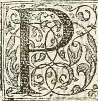 An illustration from Discovrs historial de l'antiqve et illvstre cité de Nismes en la Gaule narbonoise : auec les portraitz des plus antiques & insignes bastimens dudit lieu, reduitz à leur vraye mesure & proportion, ensemble de l'antique & moderne ville (1560)