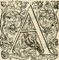 An illustration from Discovrs historial de l'antiqve et illvstre cité de Nismes en la Gaule narbonoise : auec les portraitz des plus antiques & insignes bastimens dudit lieu, reduitz à leur vraye mesure & proportion, ensemble de l'antique & moderne ville (1560)