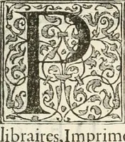 An illustration from Discovrs historial de l'antiqve et illvstre cité de Nismes en la Gaule narbonoise : auec les portraitz des plus antiques & insignes bastimens dudit lieu, reduitz à leur vraye mesure & proportion, ensemble de l'antique & moderne ville (1560)