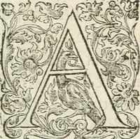 An illustration from Discovrs historial de l'antiqve et illvstre cité de Nismes en la Gaule narbonoise : auec les portraitz des plus antiques & insignes bastimens dudit lieu, reduitz à leur vraye mesure & proportion, ensemble de l'antique & moderne ville (1560)