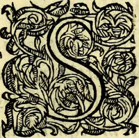 An illustration from Discovrs ov traicté des dévises. Ov est mise la raison et différence des emblèmes, énigmes, sentences & autres (1620)