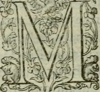 An illustration from Discovrs politiqves et militaires. Nouuellement recueillis & mis en lumiere (1587)