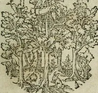 An illustration from Discovrs politiqves et militaires. Nouuellement recueillis & mis en lumiere (1587)