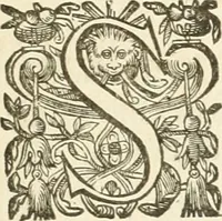 An illustration from Discovrs svr les arcs triomphavx dressés en la ville d'Aix : à l'heureuse arriuée de tres-chrestien, tres-grand, & tres-iuste monarque Lovys XIII. roy de France, & de Nauarre (1624)