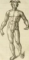 An illustration from Discovrs svr les medalles et gravevres antiques, principalement romaines. Plus, vne exposition particuliere de quelques planches ou tables estans sur la fin de ce liure, esquelles sont monstrees diuerses medalles & graueures antiques, rares & exquises (1579)