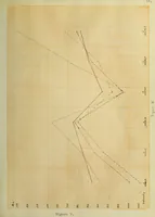 An illustration from Discriminative efficiency for rectangular areas of varying degree of chromatic illumination (1912)