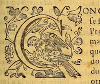 An illustration from Discurso iuridico, historico-politico, en defensa de la jurisdicion real : ilustracion de la prouision de veinte de febrero del año passado de 1684. despachada por el Govierno Superior, y reducida a ordenança en el Tom. I. Fol. 311. : Sobre que en recibir los corregidores deste reyno informaciones secretas de oficio, ò a instancia de parte, en orden à averiguar como obervan los curas, y doctrineros las disposiciones canonicas, synodales, cedulas, y ordenan{u0063}as de Su Magestad, que tratan de las obenciones que deben llevar à los indios à fin solo de dar cuenta con ellas à sus prelados, y al Govierno Superior destos reynos, para que lo remedien, no se contraviene en cosa alguna à la immunidad de la Iglesia. (1685)